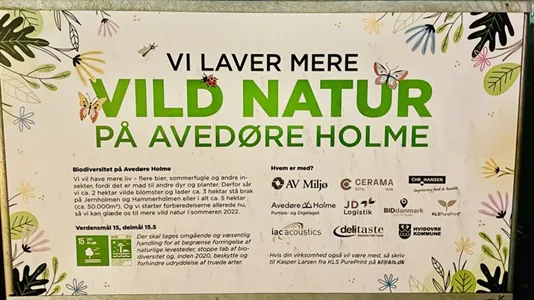 Kontorlokaler til leje i Hvidovre - billede 11