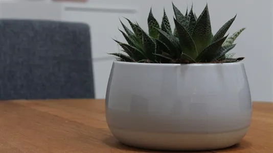 Kontorfællesskaber til leje i Viby J - billede 4